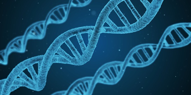 生物与新医药